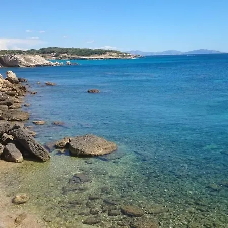 Vue Le Chant Des Cigales