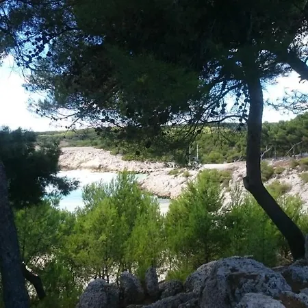Vue Le Chant Des Cigales *